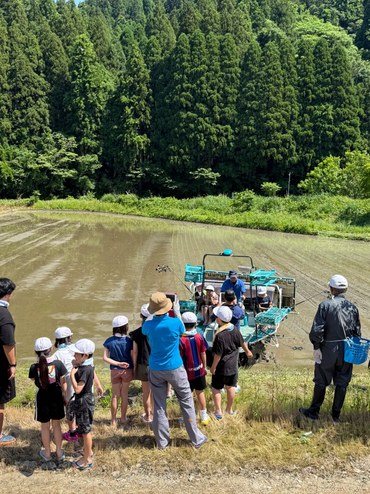 田植え見学・体験