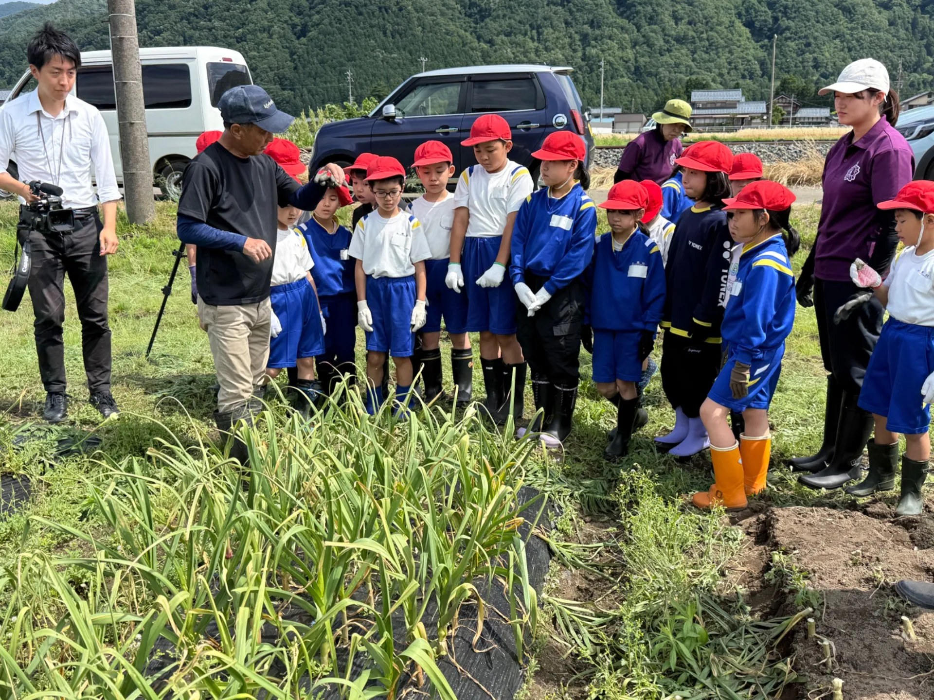 地元の小学生が上志比にんにく収穫体験