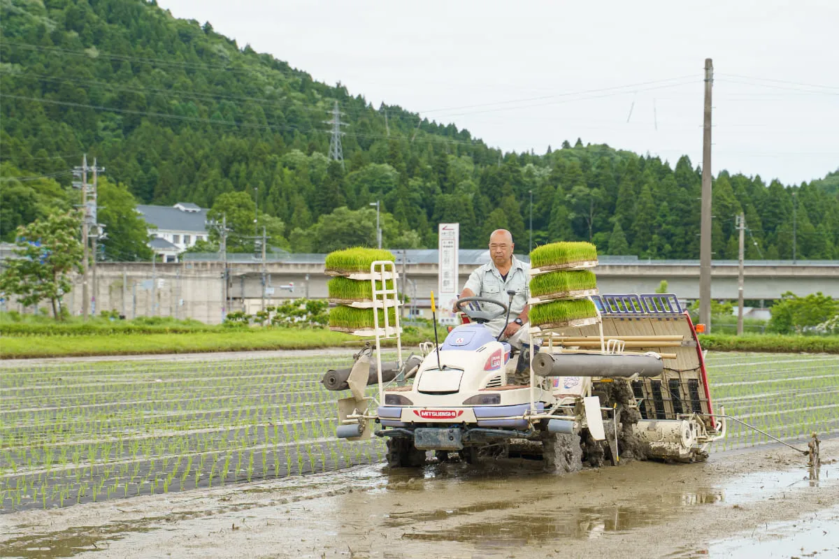 お客様の幸せな毎日を願って栽培