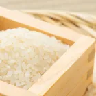 プライバシーポリシー