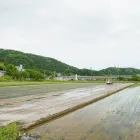 国産