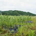 プライバシーポリシー