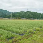 家庭用